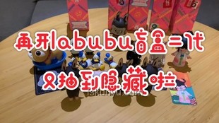Labubu联名款炒至天价，我的收藏之路大起底💸